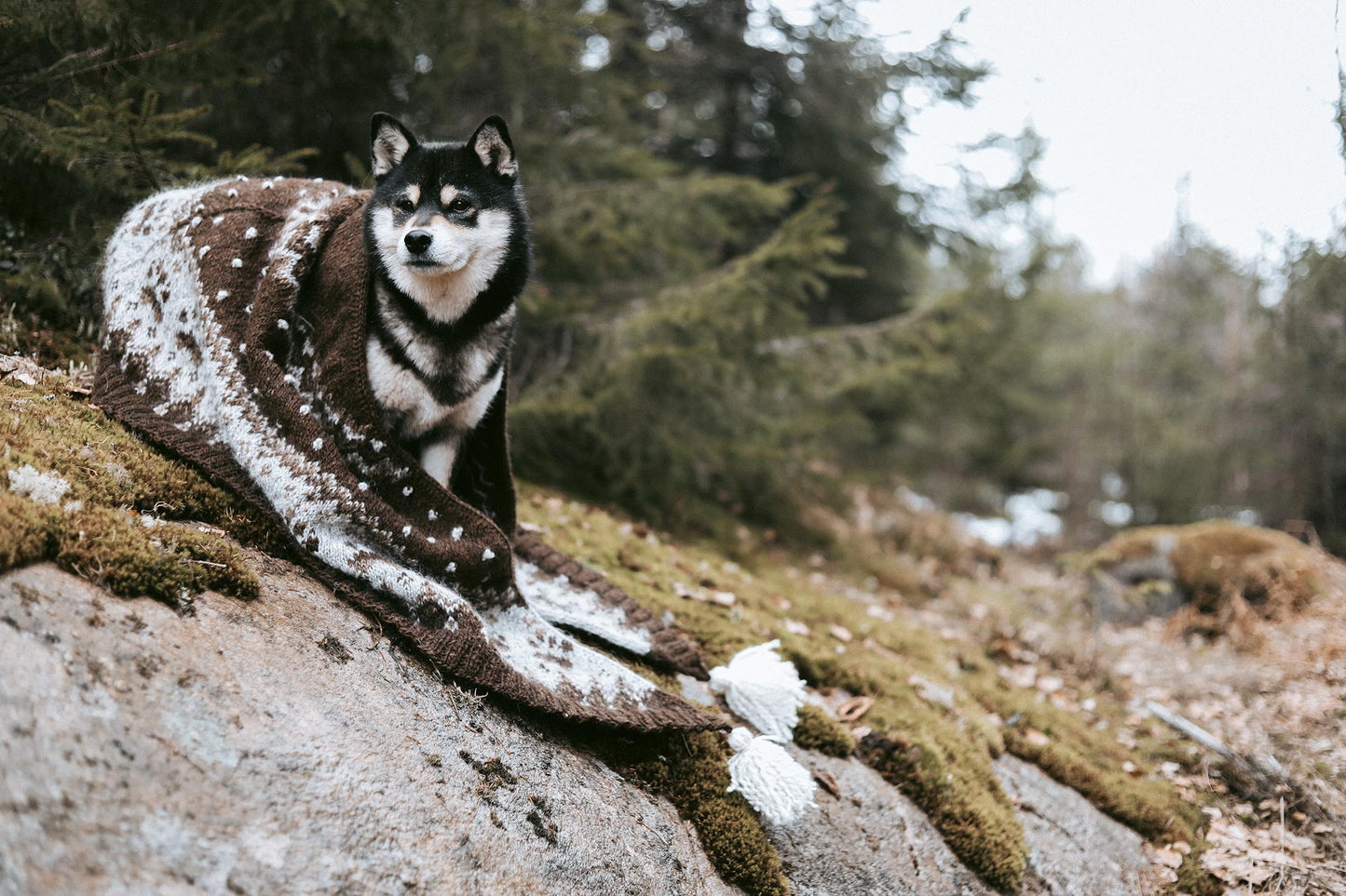 Winterfox Shawl