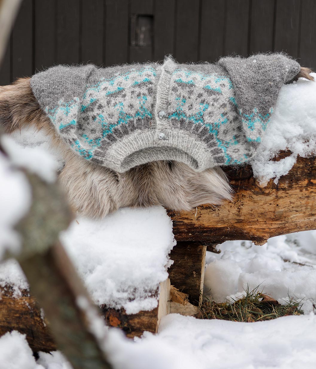 Winterfox Cardigan