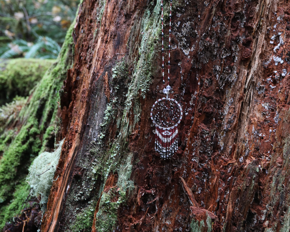 NATIVE Dreamcatcher Earrings and Necklace