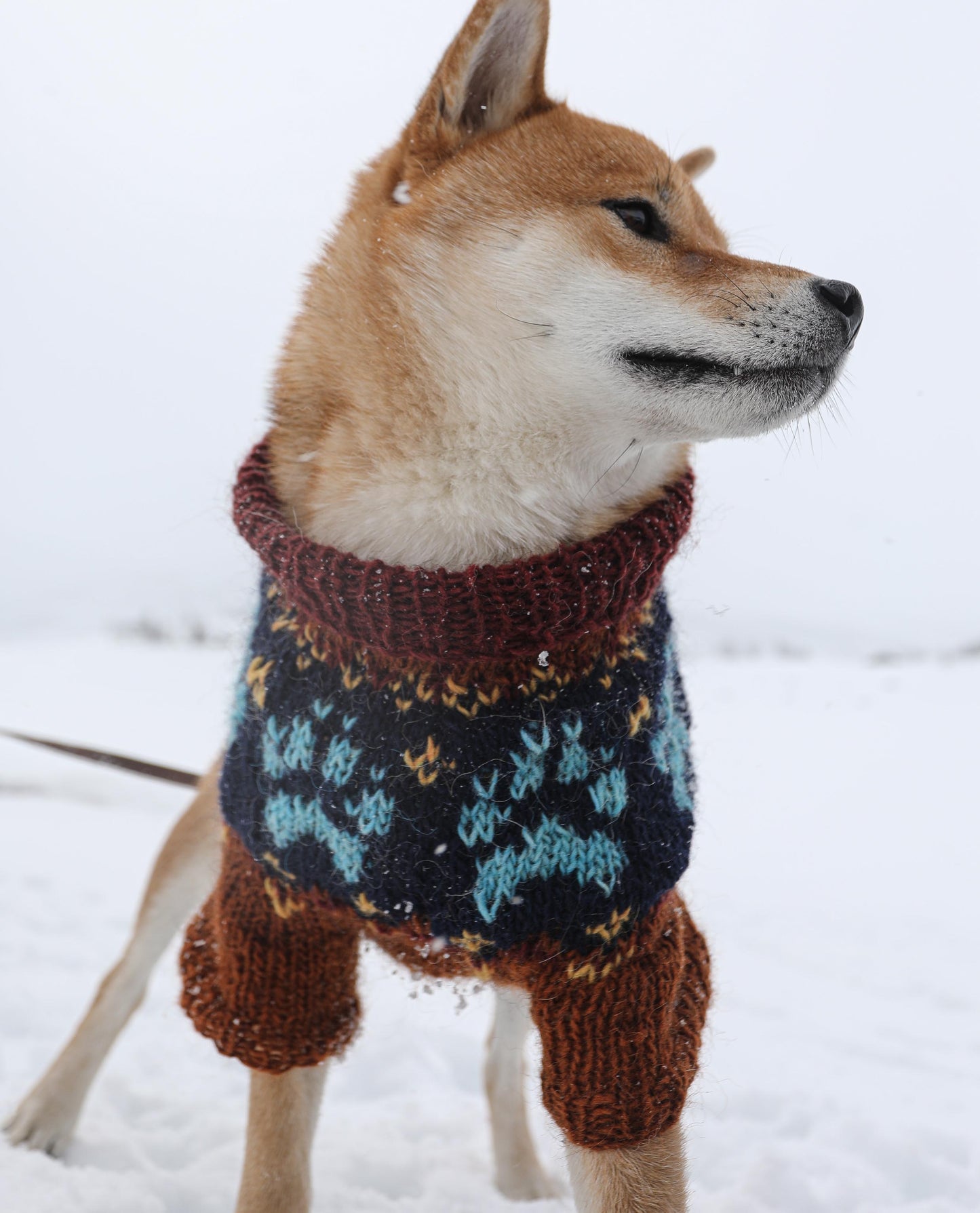 Winterfox Small Dogsweater