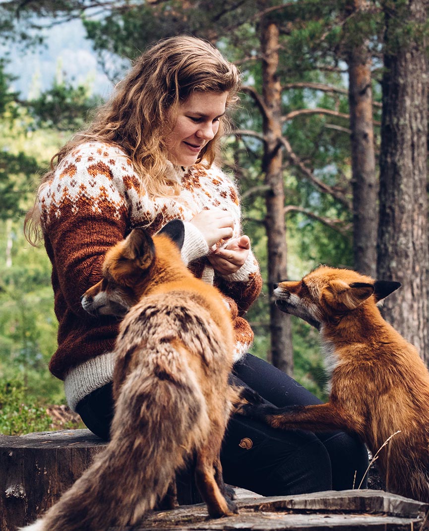 Winterfox Cardigan