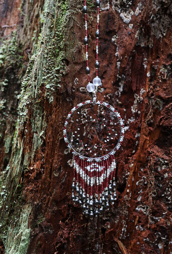 NATIVE Dreamcatcher Earrings and Necklace